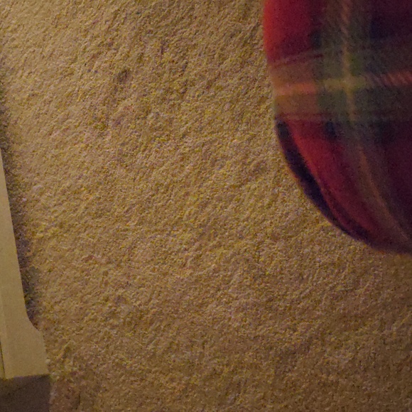 NWT Cake Maternity Flourish Nursing Bra, Size L/XL - Picture 2 of 2